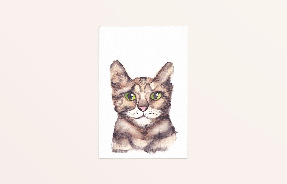 kaart met een kat