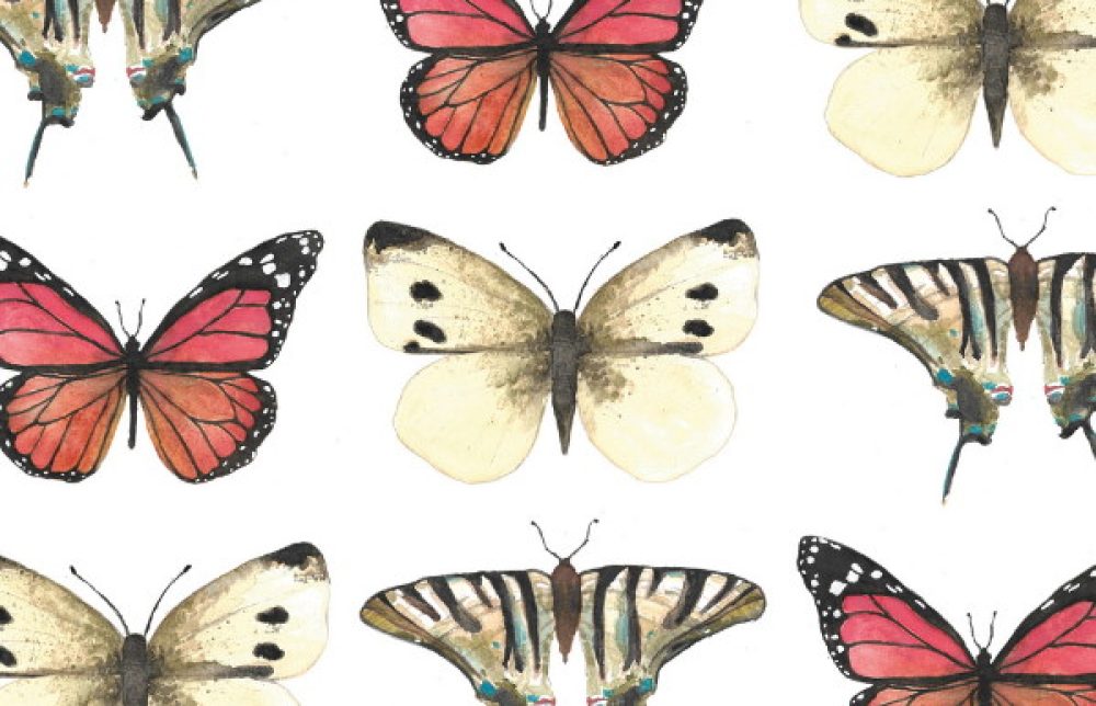 kaart vlinders vintage geschilderd fritsy
