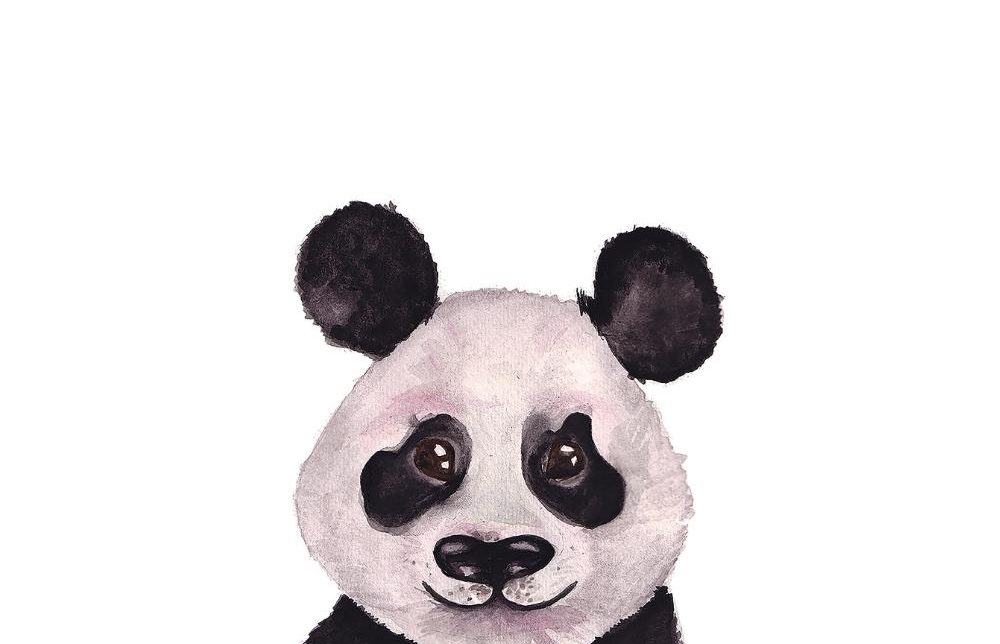 panda kaart