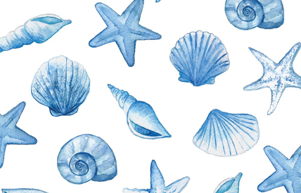 schelpen blauw