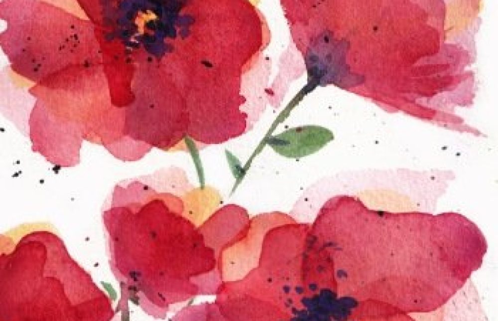 klaprozen schilderij rozen rood