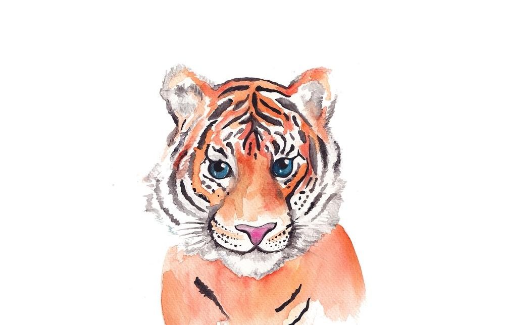 tijger kaart